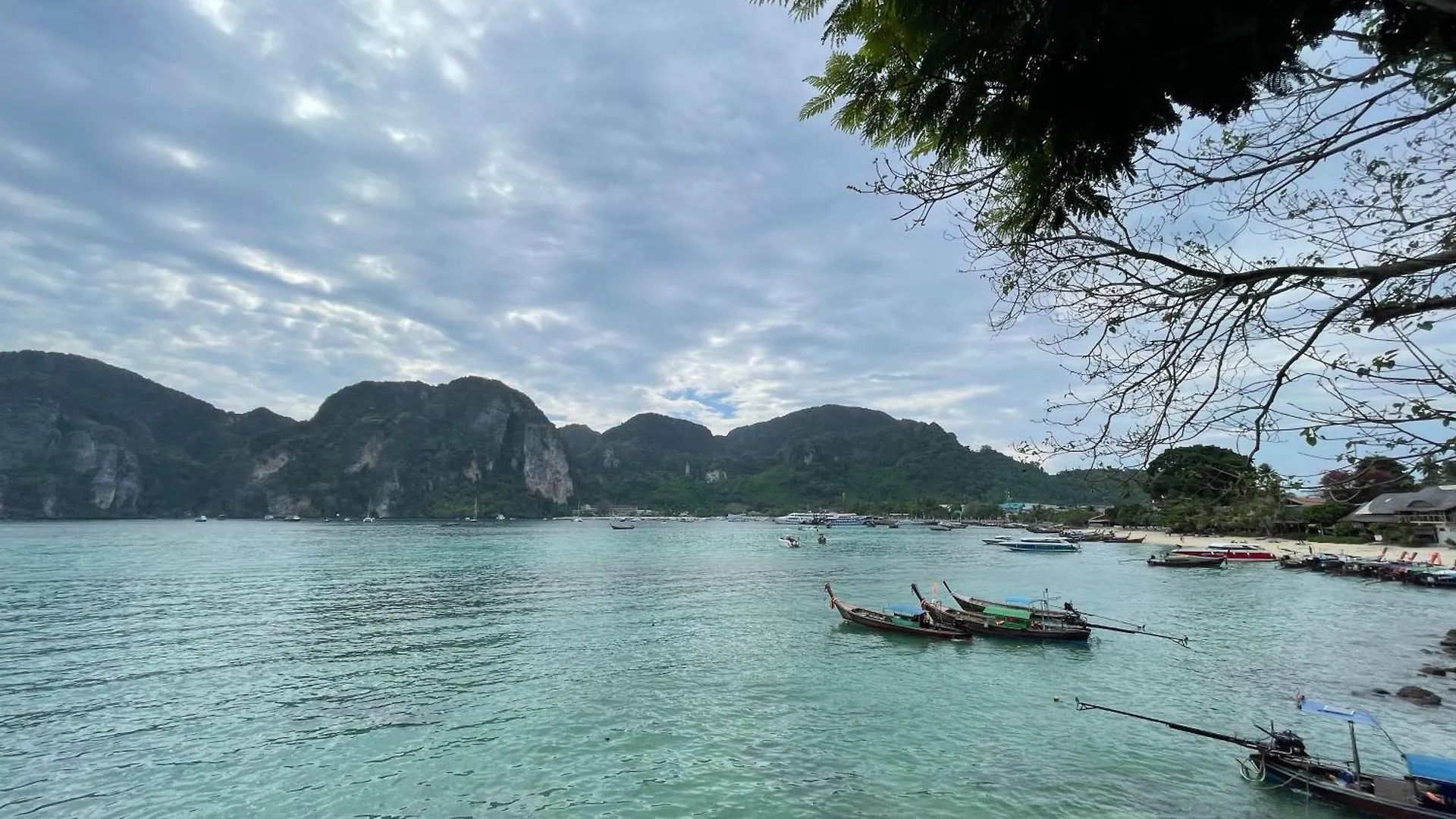 Hostel Bodega Koh Phi Phi